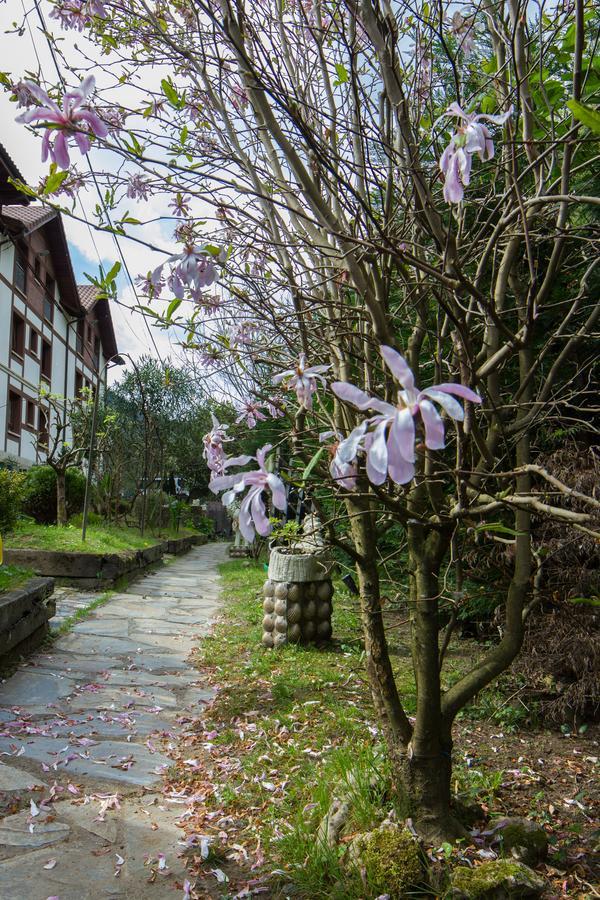 Adeko Hotel บารากัลโด ภายนอก รูปภาพ